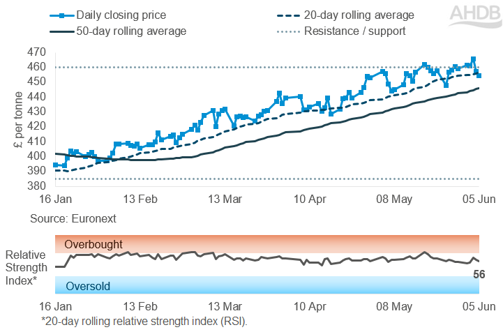 Line graph of Rapeseed futures Nov-26 contract prices over the past six months.